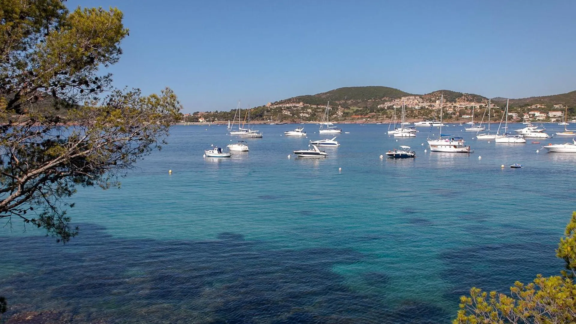 Studio Moderne A 50M De La Plage, Climatise, Proche Commerces Et Gare, Parking Disponible - Fr-1-466A-50 Saint-Raphael  France